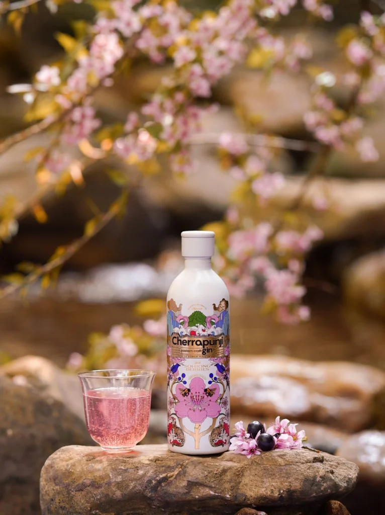 Cherrapunji Gin Price In Delhi