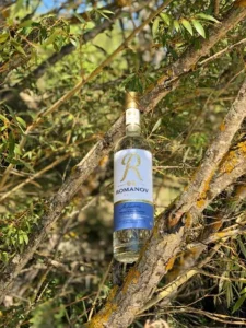 Romanov Vodka 180ml Price 