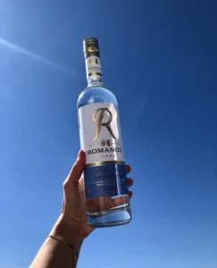 Romanov Vodka 1 Litre Price 